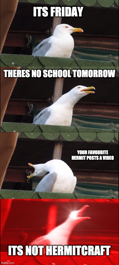 hermitcraft meme | ITS FRIDAY; THERES NO SCHOOL TOMORROW; YOUR FAVOURITE HERMIT POSTS A VIDEO; ITS NOT HERMITCRAFT | image tagged in memes,inhaling seagull | made w/ Imgflip meme maker