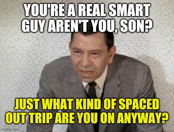 Joe Friday | YOU'RE A REAL SMART GUY AREN'T YOU, SON? JUST WHAT KIND OF SPACED OUT TRIP ARE YOU ON ANYWAY? | image tagged in joe friday | made w/ Imgflip meme maker