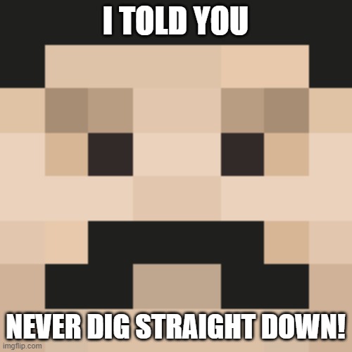 I TOLD YOU NEVER DIG STRAIGHT DOWN! | made w/ Imgflip meme maker
