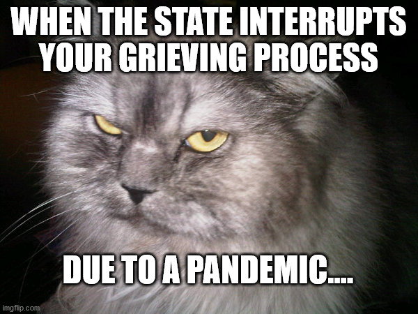 irritated cat | WHEN THE STATE INTERRUPTS YOUR GRIEVING PROCESS; DUE TO A PANDEMIC.... | image tagged in irritated cat | made w/ Imgflip meme maker