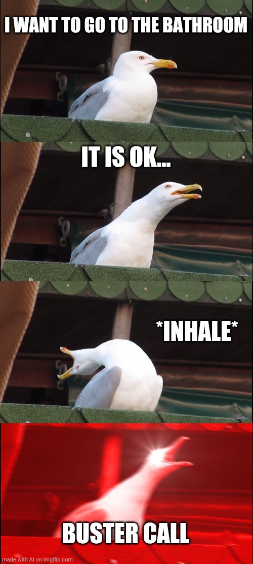 Inhaling Seagull | I WANT TO GO TO THE BATHROOM; IT IS OK... *INHALE*; BUSTER CALL | image tagged in memes,inhaling seagull | made w/ Imgflip meme maker