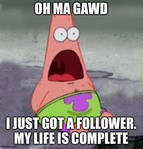 Suprised Patrick | OH MA GAWD; I JUST GOT A FOLLOWER. MY LIFE IS COMPLETE | image tagged in suprised patrick | made w/ Imgflip meme maker