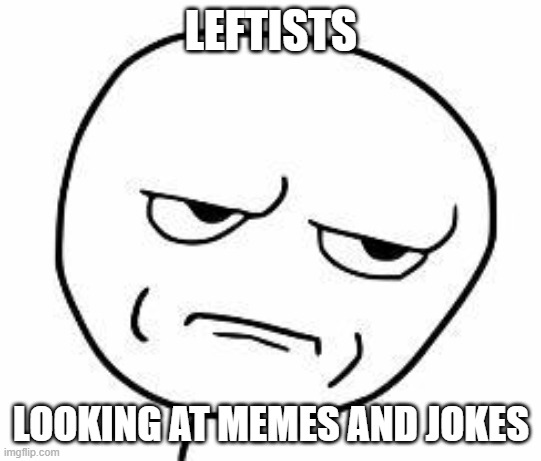 srsly guise | LEFTISTS LOOKING AT MEMES AND JOKES | image tagged in srsly guise | made w/ Imgflip meme maker