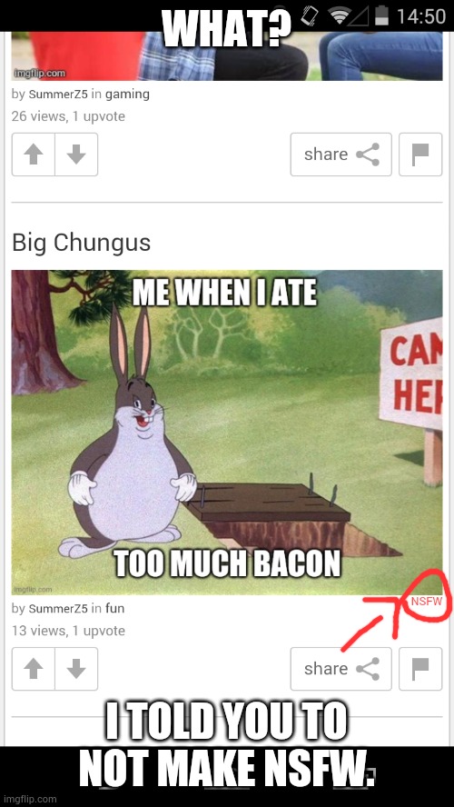 I told you to not make NSFW. | WHAT? I TOLD YOU TO NOT MAKE NSFW. | image tagged in big chungus,nsfw | made w/ Imgflip meme maker