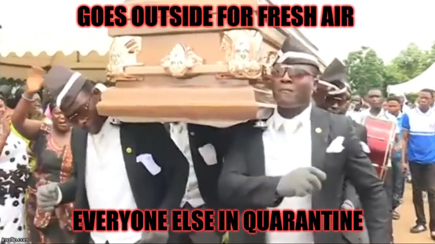 Coffin Dance | GOES OUTSIDE FOR FRESH AIR; EVERYONE ELSE IN QUARANTINE | image tagged in coffin dance | made w/ Imgflip meme maker