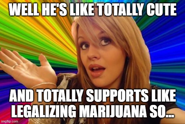 Dumb Blonde Meme | WELL HE'S LIKE TOTALLY CUTE AND TOTALLY SUPPORTS LIKE LEGALIZING MARIJUANA SO... | image tagged in memes,dumb blonde | made w/ Imgflip meme maker
