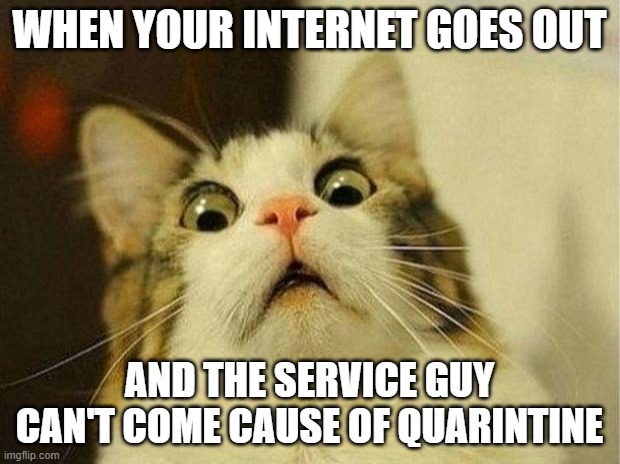 a sad, but true story :( | WHEN YOUR INTERNET GOES OUT; AND THE SERVICE GUY CAN'T COME CAUSE OF QUARINTINE | image tagged in memes,scared cat | made w/ Imgflip meme maker