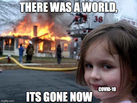 Disaster Girl Meme | THERE WAS A WORLD, ITS GONE NOW; COVID-19 | image tagged in memes,disaster girl | made w/ Imgflip meme maker