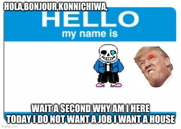 hello my name is | HOLA,BONJOUR,KONNICHIWA, WAIT A SECOND WHY AM I HERE TODAY I DO NOT WANT A JOB I WANT A HOUSE | image tagged in hello my name is | made w/ Imgflip meme maker