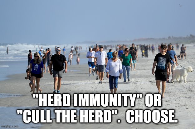 "HERD IMMUNITY" OR "CULL THE HERD".  CHOOSE. | image tagged in herd immunity,cull the herd,florida,beach | made w/ Imgflip meme maker