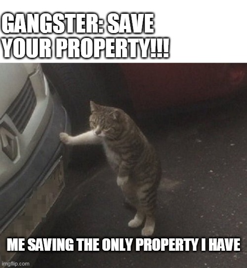 Lol!!! | GANGSTER: SAVE YOUR PROPERTY!!! ME SAVING THE ONLY PROPERTY I HAVE | image tagged in memes,funny memes,save me | made w/ Imgflip meme maker