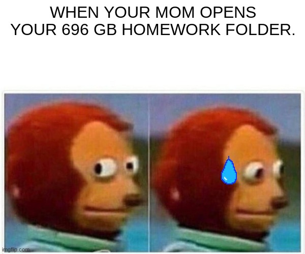 Monkey Puppet | WHEN YOUR MOM OPENS YOUR 696 GB HOMEWORK FOLDER. | image tagged in memes,monkey puppet | made w/ Imgflip meme maker