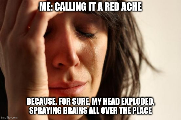 First World Problems - No Actual Brains on the Wall | ME: CALLING IT A RED ACHE; BECAUSE, FOR SURE, MY HEAD EXPLODED,
SPRAYING BRAINS ALL OVER THE PLACE | image tagged in memes,first world problems | made w/ Imgflip meme maker