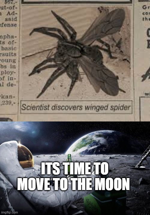 ITS TIME TO MOVE TO THE MOON | image tagged in time to leave the earth,winged spider | made w/ Imgflip meme maker