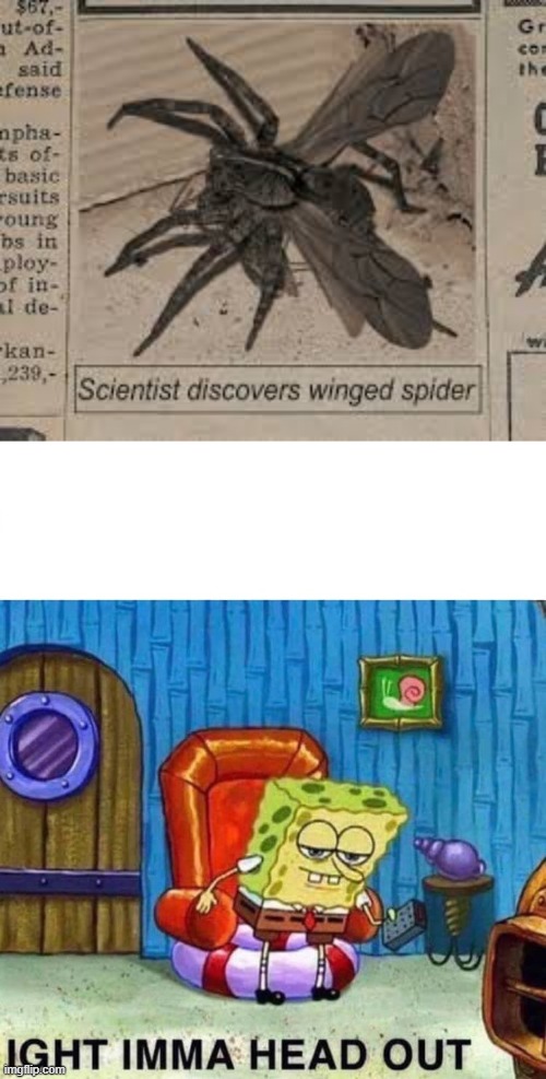 image tagged in memes,spongebob ight imma head out,winged spider | made w/ Imgflip meme maker