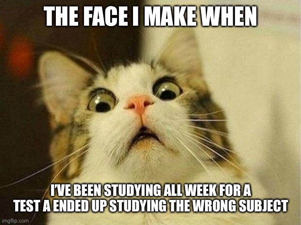 Scared Cat Meme | THE FACE I MAKE WHEN; I’VE BEEN STUDYING ALL WEEK FOR A TEST A ENDED UP STUDYING THE WRONG SUBJECT | image tagged in memes,scared cat | made w/ Imgflip meme maker