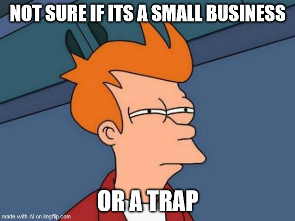 Futurama Fry | NOT SURE IF ITS A SMALL BUSINESS; OR A TRAP | image tagged in memes,futurama fry | made w/ Imgflip meme maker