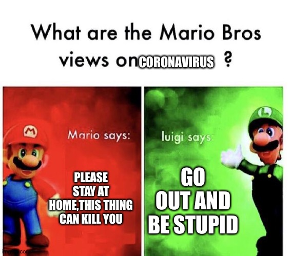 Mario Bros Views | CORONAVIRUS; PLEASE STAY AT HOME,THIS THING CAN KILL YOU; GO OUT AND BE STUPID | image tagged in mario bros views | made w/ Imgflip meme maker