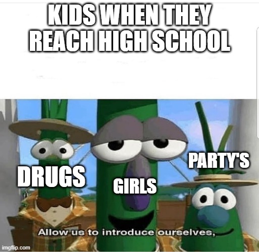 Allow us to introduce ourselves | KIDS WHEN THEY REACH HIGH SCHOOL; PARTY'S; DRUGS; GIRLS | image tagged in allow us to introduce ourselves | made w/ Imgflip meme maker