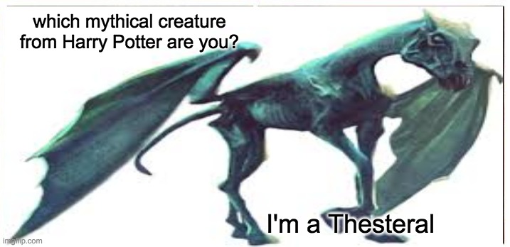 I is Thesteral | which mythical creature from Harry Potter are you? I'm a Thesteral | made w/ Imgflip meme maker