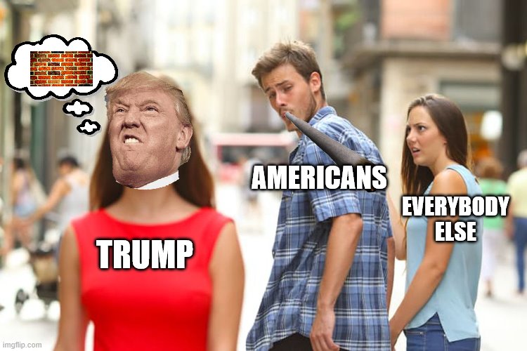 Distracted Boyfriend Meme | AMERICANS; EVERYBODY ELSE; TRUMP | image tagged in memes,distracted boyfriend | made w/ Imgflip meme maker