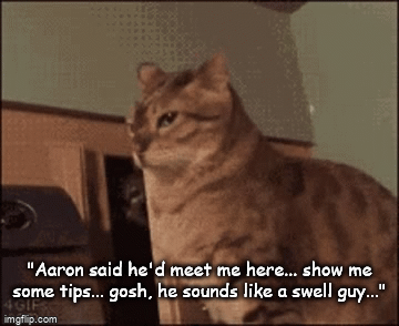 "Aaron said he'd meet me here... show me some tips... gosh, he sounds like a swell guy..." | image tagged in gifs | made w/ Imgflip video-to-gif maker