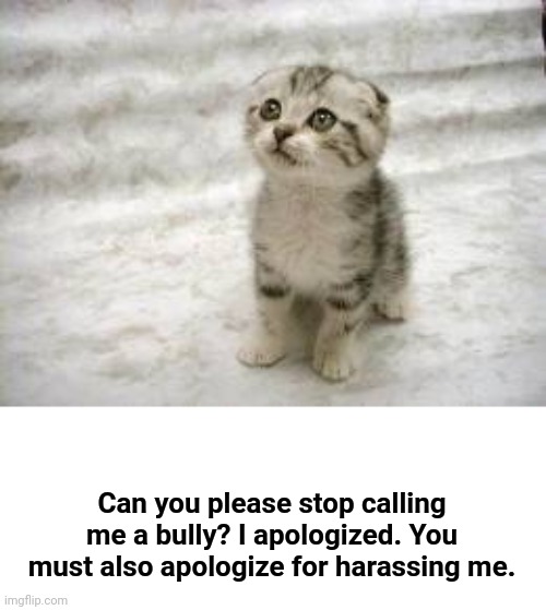 Sad Cat Meme | Can you please stop calling me a bully? I apologized. You must also apologize for harassing me. | image tagged in memes,sad cat | made w/ Imgflip meme maker