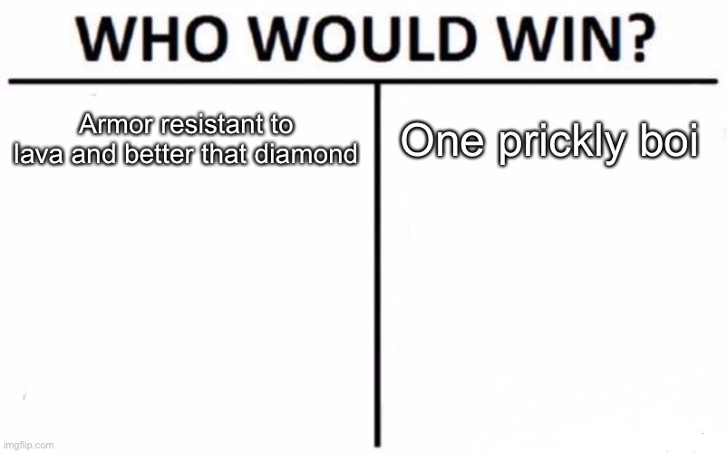 Why do I make memes | Armor resistant to lava and better that diamond; One prickly boi | image tagged in memes,who would win | made w/ Imgflip meme maker