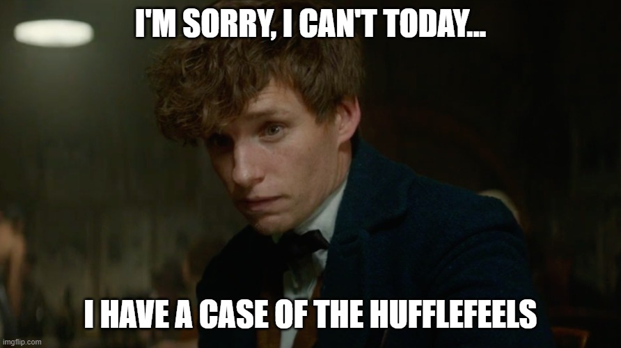 Hufflefeels | I'M SORRY, I CAN'T TODAY... I HAVE A CASE OF THE HUFFLEFEELS | image tagged in hufflepuff,harry potter,hogwarts,newt scamander,hufflefeels | made w/ Imgflip meme maker