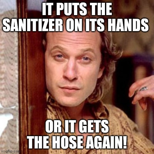 Buffalo Bill Silence of the lambs | IT PUTS THE SANITIZER ON ITS HANDS; OR IT GETS THE HOSE AGAIN! | image tagged in buffalo bill silence of the lambs | made w/ Imgflip meme maker