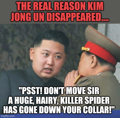 Seriously, would anyone feel bad if KJU stayed missing indefinitely? | THE REAL REASON KIM JONG UN DISAPPEARED.... "PSST! DON'T MOVE SIR A HUGE, HAIRY, KILLER SPIDER HAS GONE DOWN YOUR COLLAR!" | image tagged in hungry kim jong un,missing | made w/ Imgflip meme maker