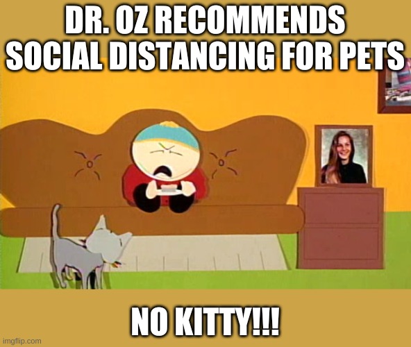 Because the only time a cat will get within 6 feet of you is when you don't want them to get within 6 feet of you..... | DR. OZ RECOMMENDS SOCIAL DISTANCING FOR PETS; NO KITTY!!! | image tagged in no kitty southpark | made w/ Imgflip meme maker