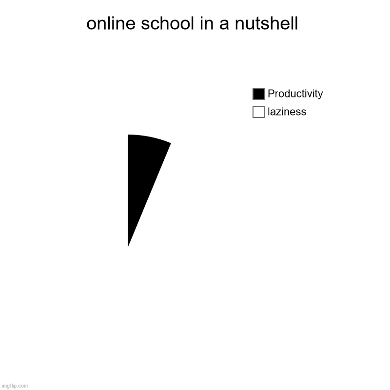 online school in a nutshell | online school in a nutshell | laziness, Productivity | image tagged in charts,pie charts,school,online school,laziness,tag | made w/ Imgflip chart maker
