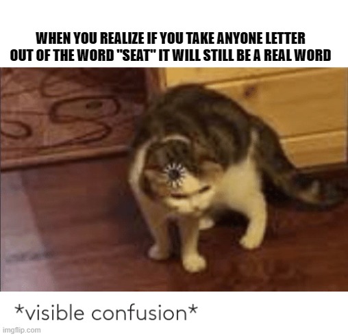 visible confusion | WHEN YOU REALIZE IF YOU TAKE ANYONE LETTER OUT OF THE WORD "SEAT" IT WILL STILL BE A REAL WORD | image tagged in visible confusion | made w/ Imgflip meme maker
