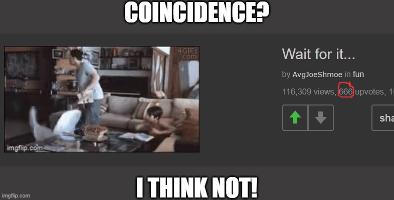 Thank you, AvgJoeShmoe! | COINCIDENCE? I THINK NOT! | image tagged in funny memes | made w/ Imgflip meme maker