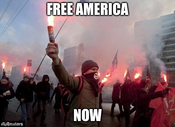 protest | FREE AMERICA; NOW | image tagged in protest | made w/ Imgflip meme maker