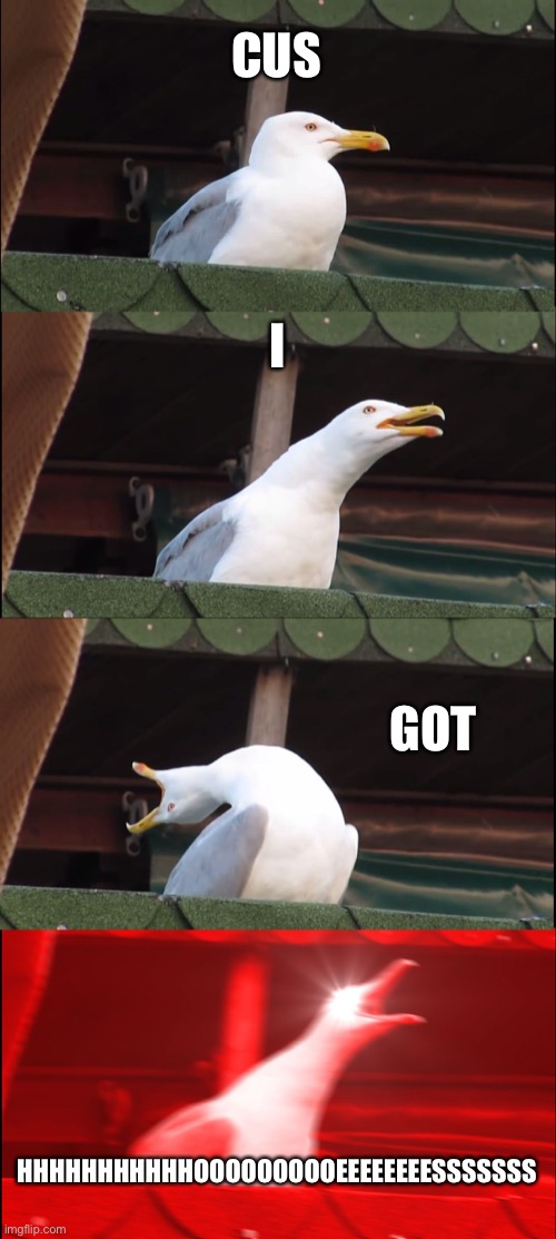 Inhaling Seagull | CUS; I; GOT; HHHHHHHHHHHOOOOOOOOOEEEEEEEESSSSSSS | image tagged in memes,inhaling seagull | made w/ Imgflip meme maker