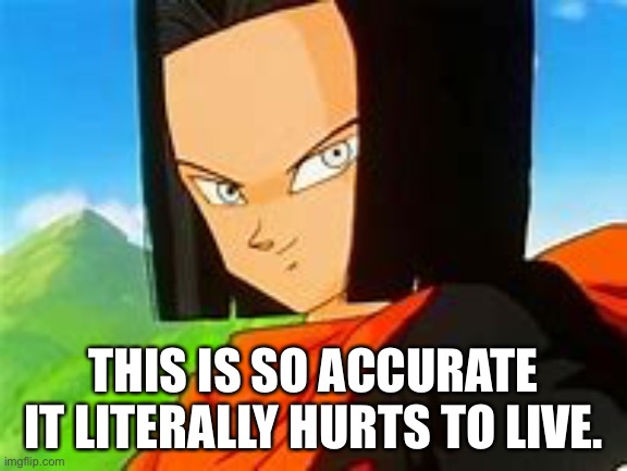 Android 17 Smile | THIS IS SO ACCURATE IT LITERALLY HURTS TO LIVE. | image tagged in android 17 smile | made w/ Imgflip meme maker
