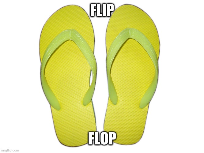 Flip Flops | FLIP FLOP | image tagged in flip flops | made w/ Imgflip meme maker