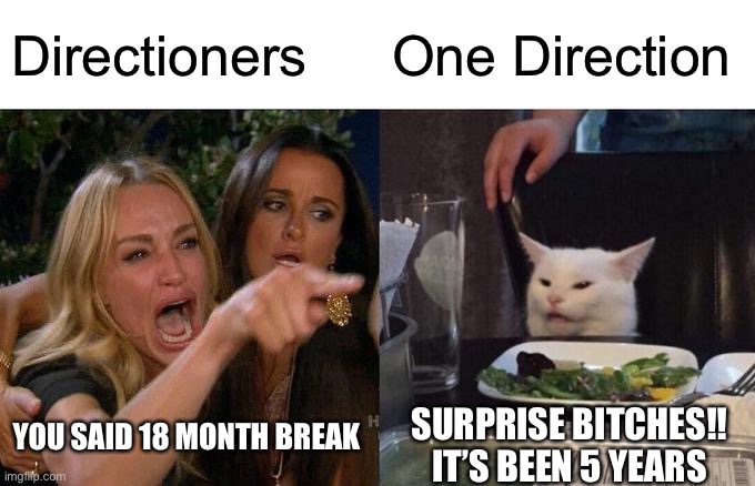 Woman Yelling At Cat Meme | Directioners; One Direction; YOU SAID 18 MONTH BREAK; SURPRISE BITCHES!! IT’S BEEN 5 YEARS | image tagged in memes,woman yelling at cat | made w/ Imgflip meme maker