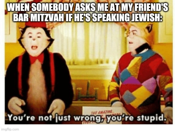 All the time. | WHEN SOMEBODY ASKS ME AT MY FRIEND'S BAR MITZVAH IF HE'S SPEAKING JEWISH: | image tagged in you're not just wrong your stupid | made w/ Imgflip meme maker