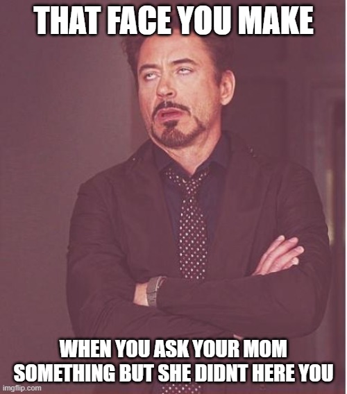 Face You Make Robert Downey Jr | THAT FACE YOU MAKE; WHEN YOU ASK YOUR MOM SOMETHING BUT SHE DIDNT HERE YOU | image tagged in memes,face you make robert downey jr | made w/ Imgflip meme maker