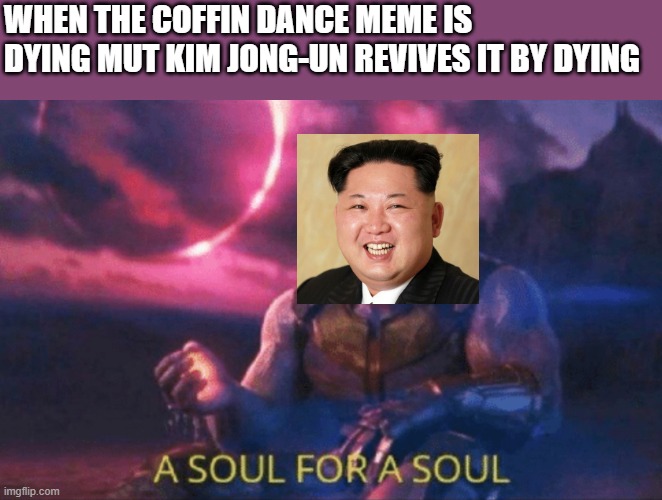 Please don't come after me | WHEN THE COFFIN DANCE MEME IS DYING MUT KIM JONG-UN REVIVES IT BY DYING | image tagged in a soul for a soul | made w/ Imgflip meme maker