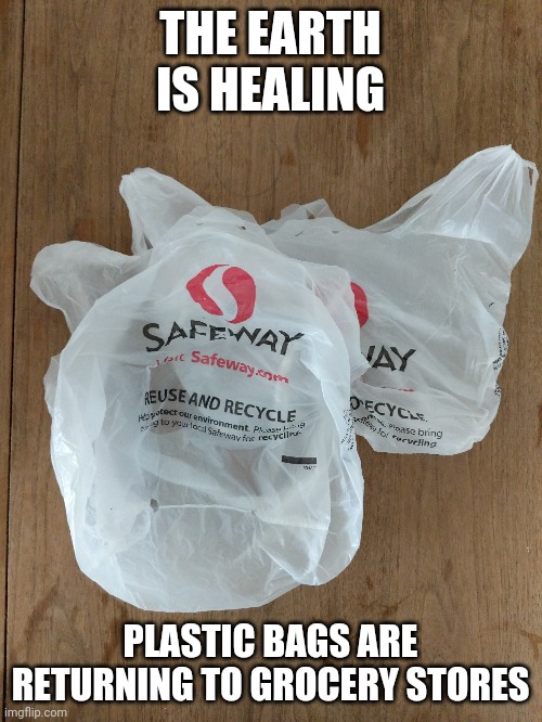 The Earth is healing | THE EARTH IS HEALING; PLASTIC BAGS ARE RETURNING TO GROCERY STORES | image tagged in funny,earth is healing | made w/ Imgflip meme maker