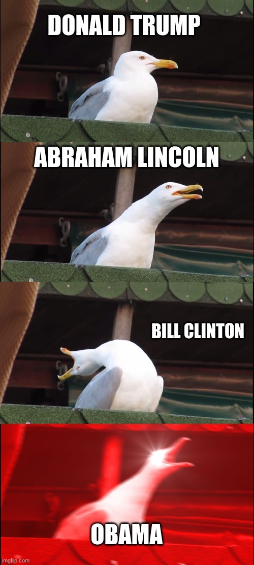 Inhaling Seagull Meme | DONALD TRUMP; ABRAHAM LINCOLN; BILL CLINTON; OBAMA | image tagged in memes,inhaling seagull | made w/ Imgflip meme maker