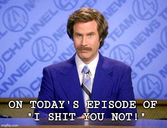anchorman news update | ON TODAY'S EPISODE OF 
"I SHIT YOU NOT!" | image tagged in anchorman news update | made w/ Imgflip meme maker