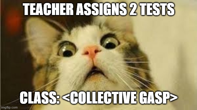 Funny animals | TEACHER ASSIGNS 2 TESTS; CLASS: <COLLECTIVE GASP> | image tagged in funny animals | made w/ Imgflip meme maker