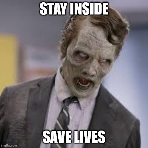 zombie suit | STAY INSIDE; SAVE LIVES | image tagged in zombie suit | made w/ Imgflip meme maker