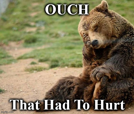 bear | OUCH; That Had To Hurt | image tagged in bear | made w/ Imgflip meme maker