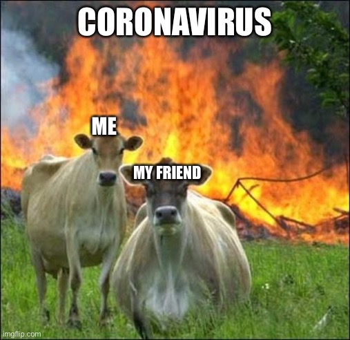 ? | CORONAVIRUS; ME; MY FRIEND | image tagged in memes,evil cows | made w/ Imgflip meme maker